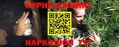 сатива Будённовск