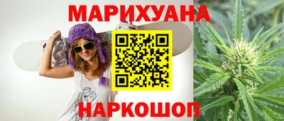 сатива Будённовск